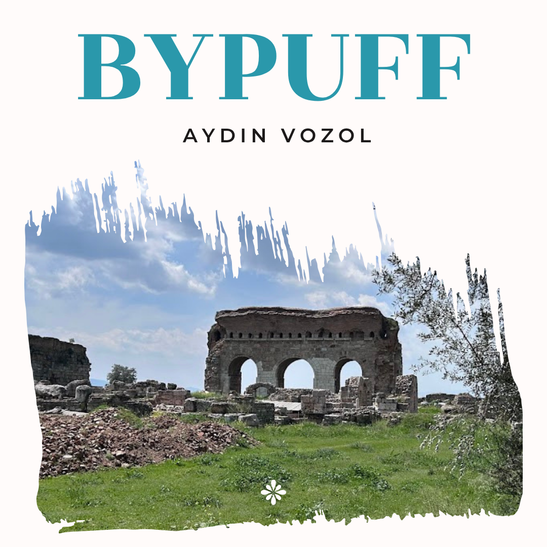 Aydın Vozol Satış Noktası