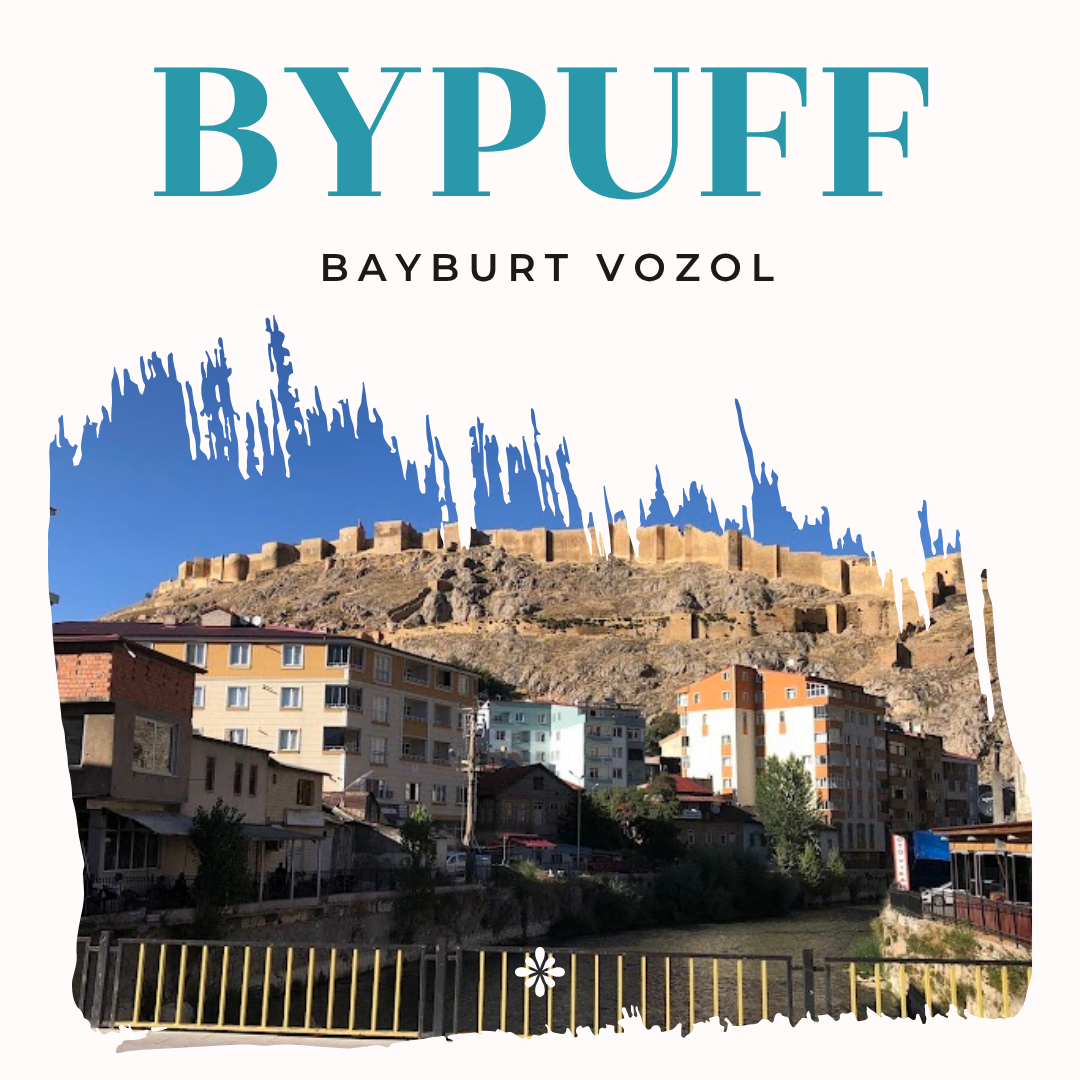 Bayburt Vozol Satış Noktası