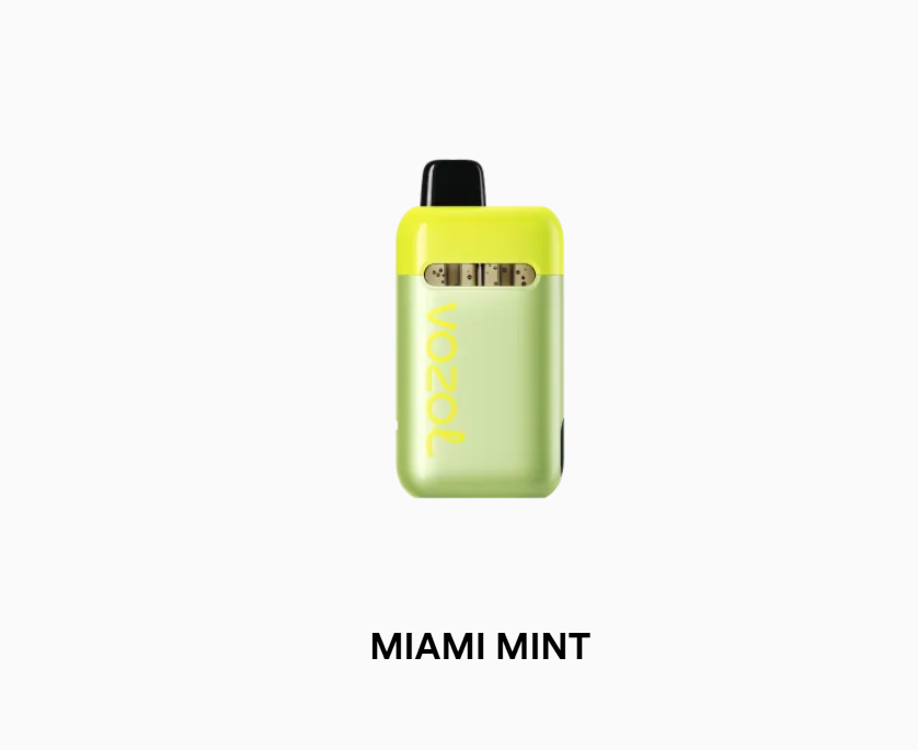 Vozol Neon Plug Max Miami Mint